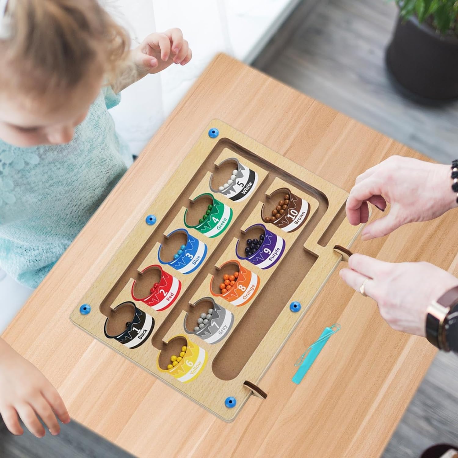 Montessori Educational Board